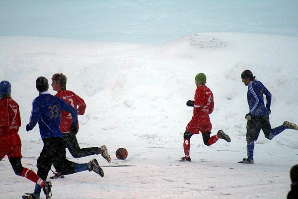 Borgen - R&oslash;mskog/Setskog